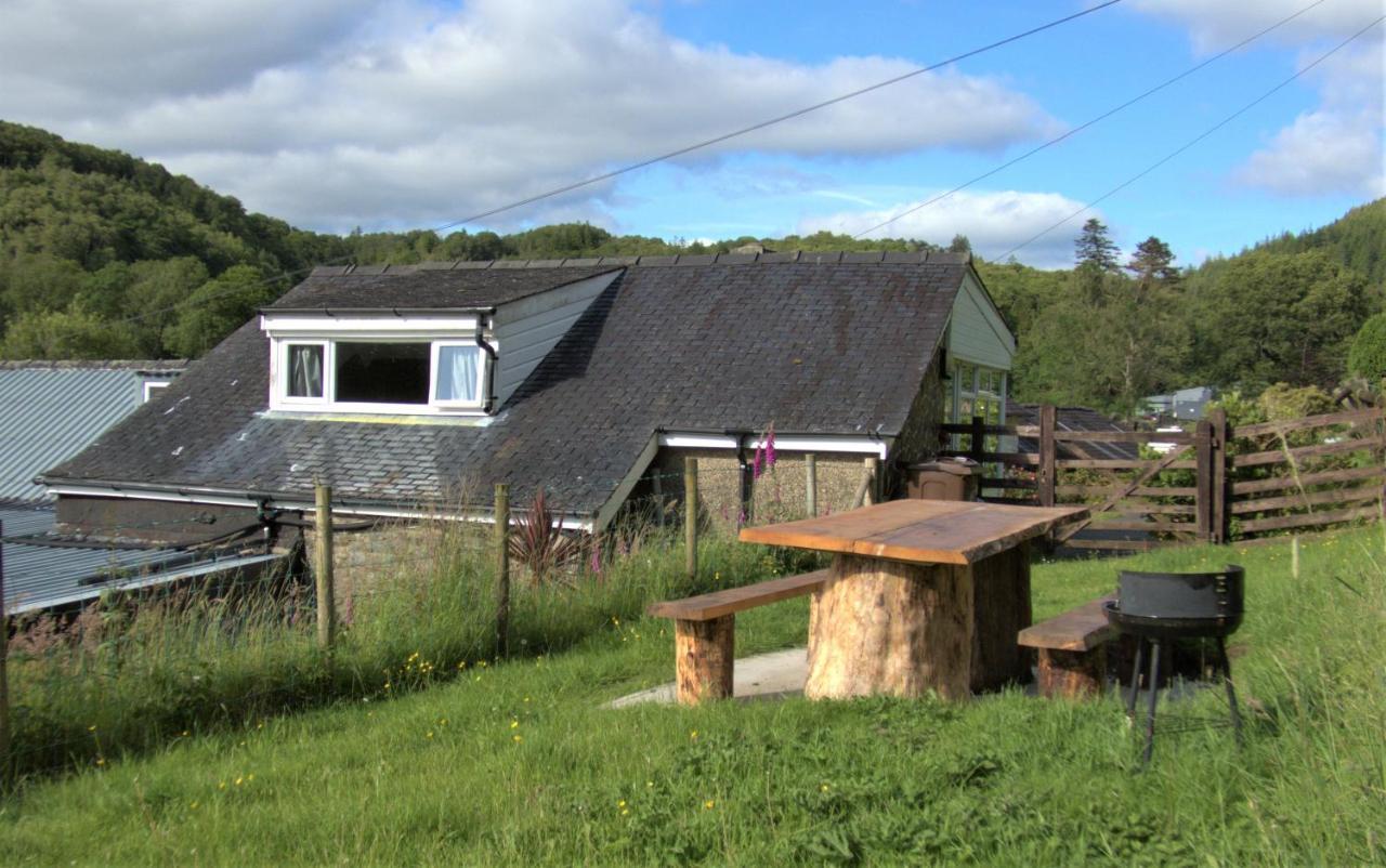 Abergwynant Farm Glamping & Apartments ドルゲラウ エクステリア 写真