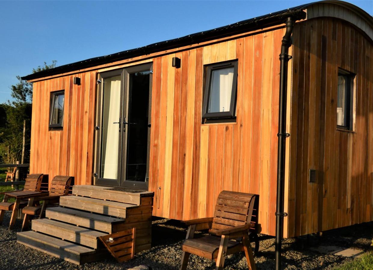 Abergwynant Farm Glamping & Apartments ドルゲラウ エクステリア 写真