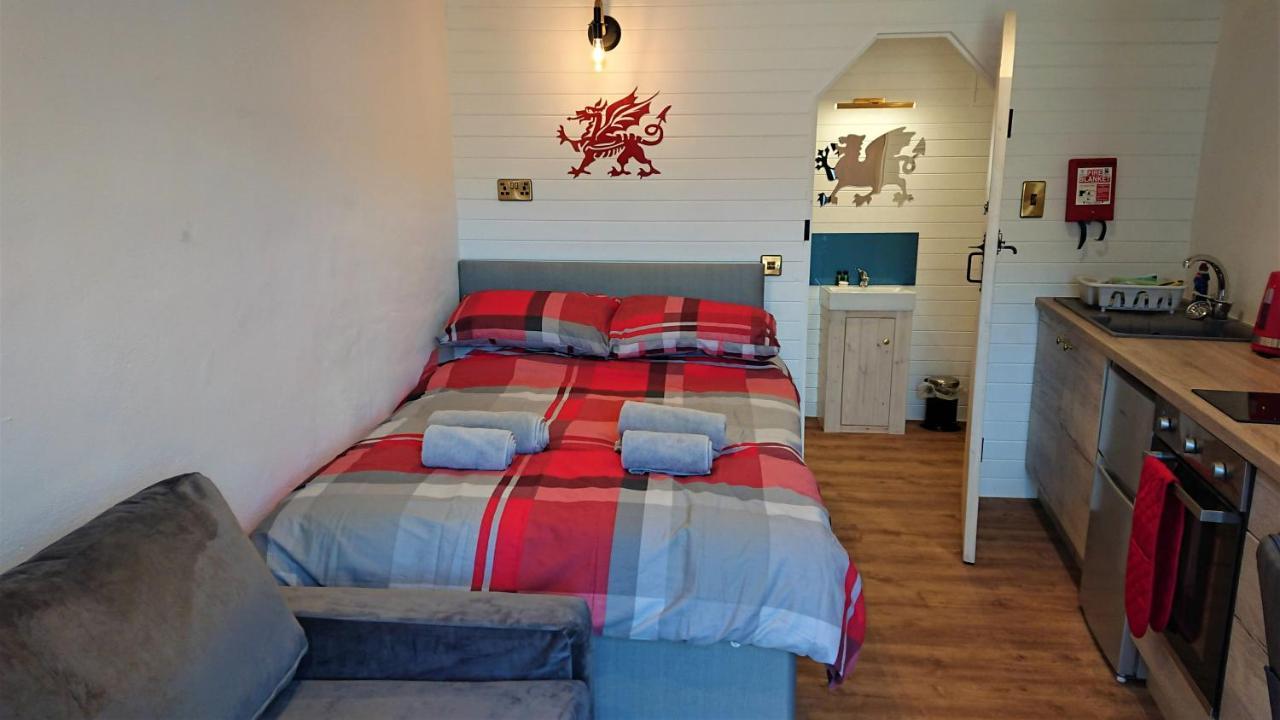 Abergwynant Farm Glamping & Apartments ドルゲラウ エクステリア 写真