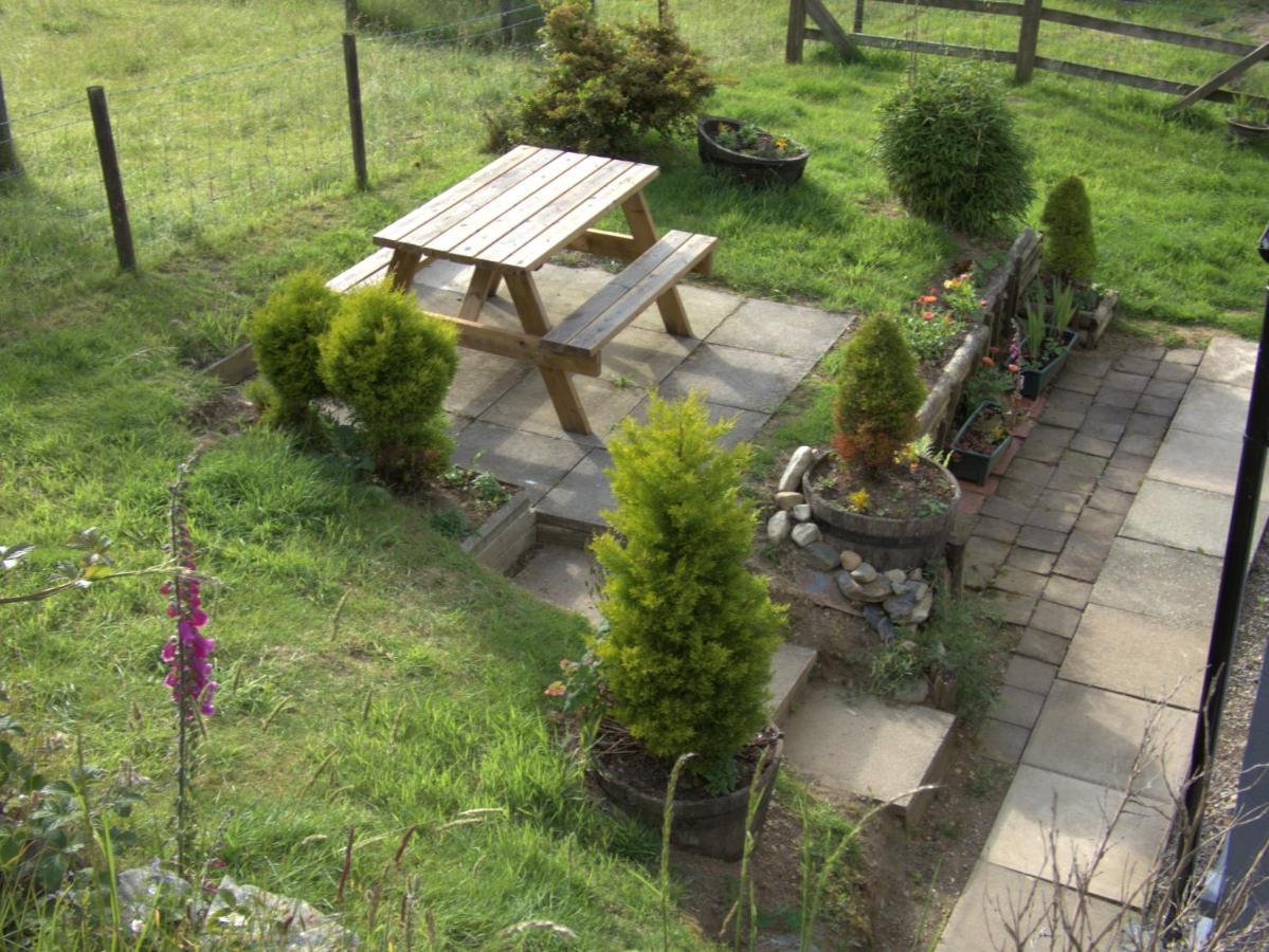 Abergwynant Farm Glamping & Apartments ドルゲラウ エクステリア 写真