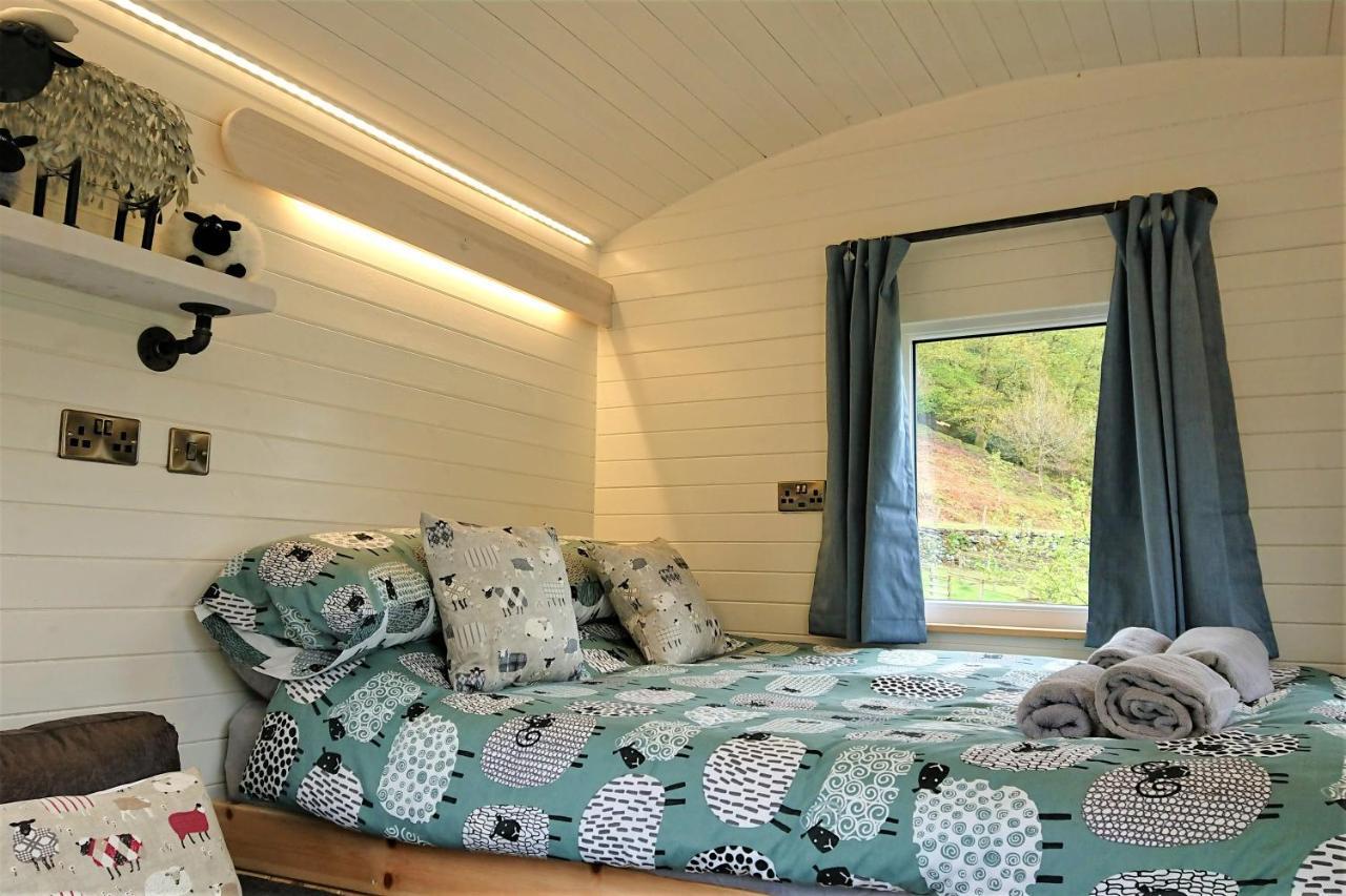 Abergwynant Farm Glamping & Apartments ドルゲラウ エクステリア 写真