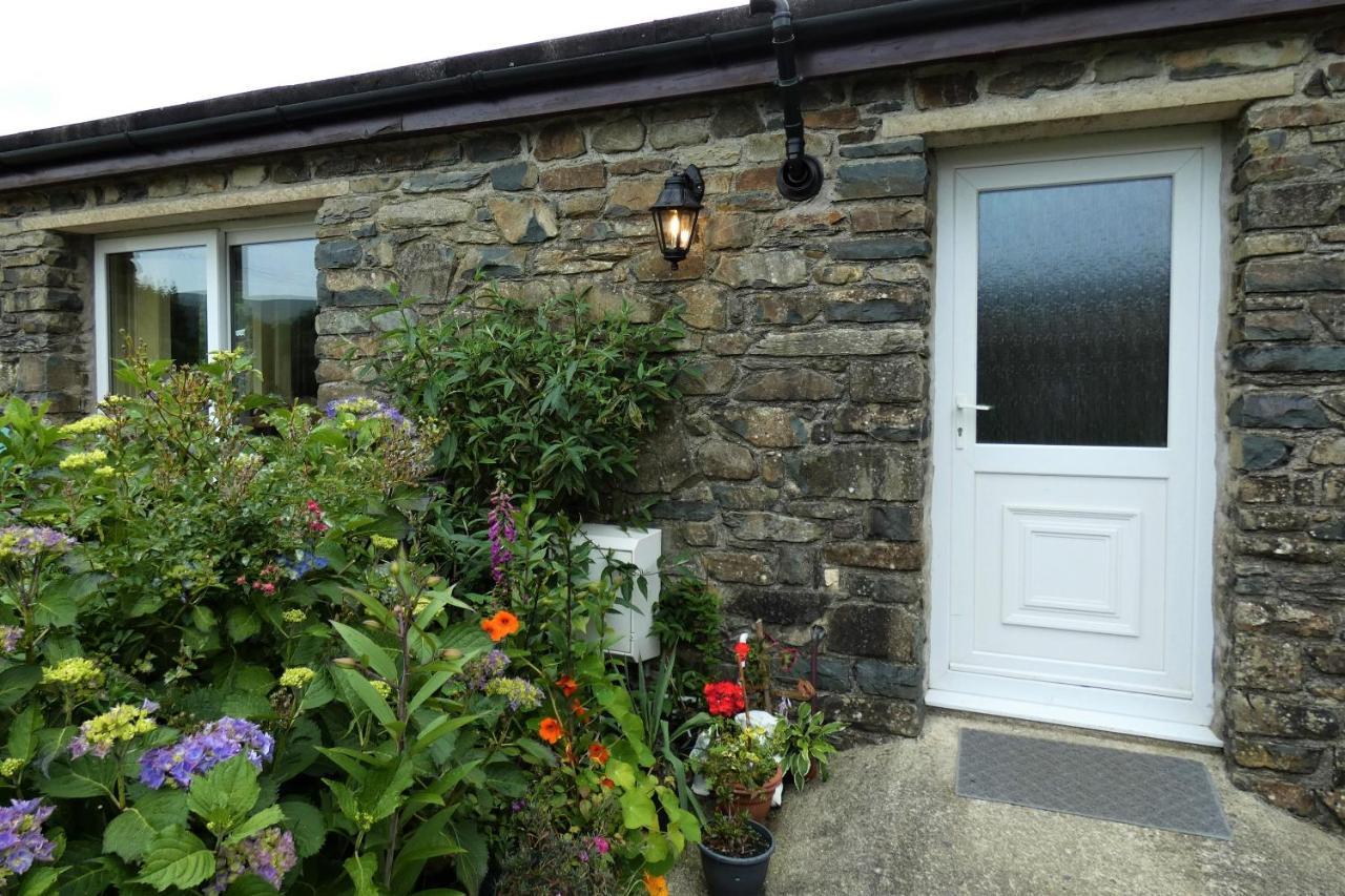 Abergwynant Farm Glamping & Apartments ドルゲラウ エクステリア 写真