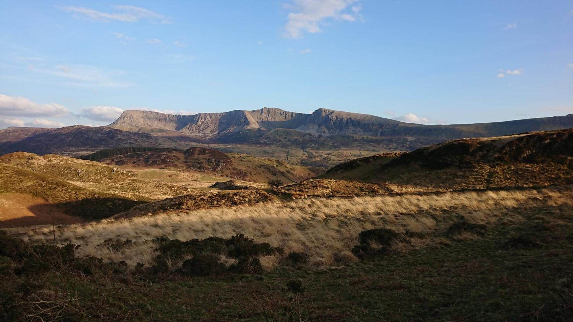 Abergwynant Farm Glamping & Apartments ドルゲラウ エクステリア 写真