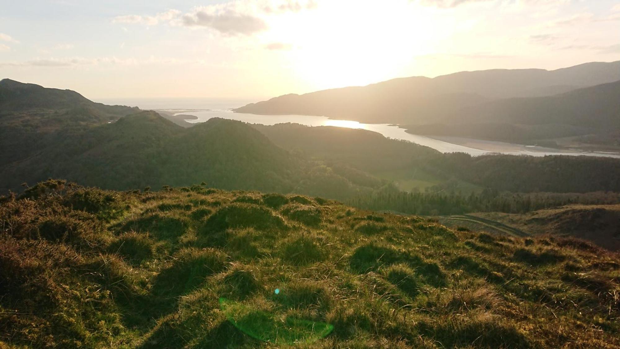 Abergwynant Farm Glamping & Apartments ドルゲラウ エクステリア 写真