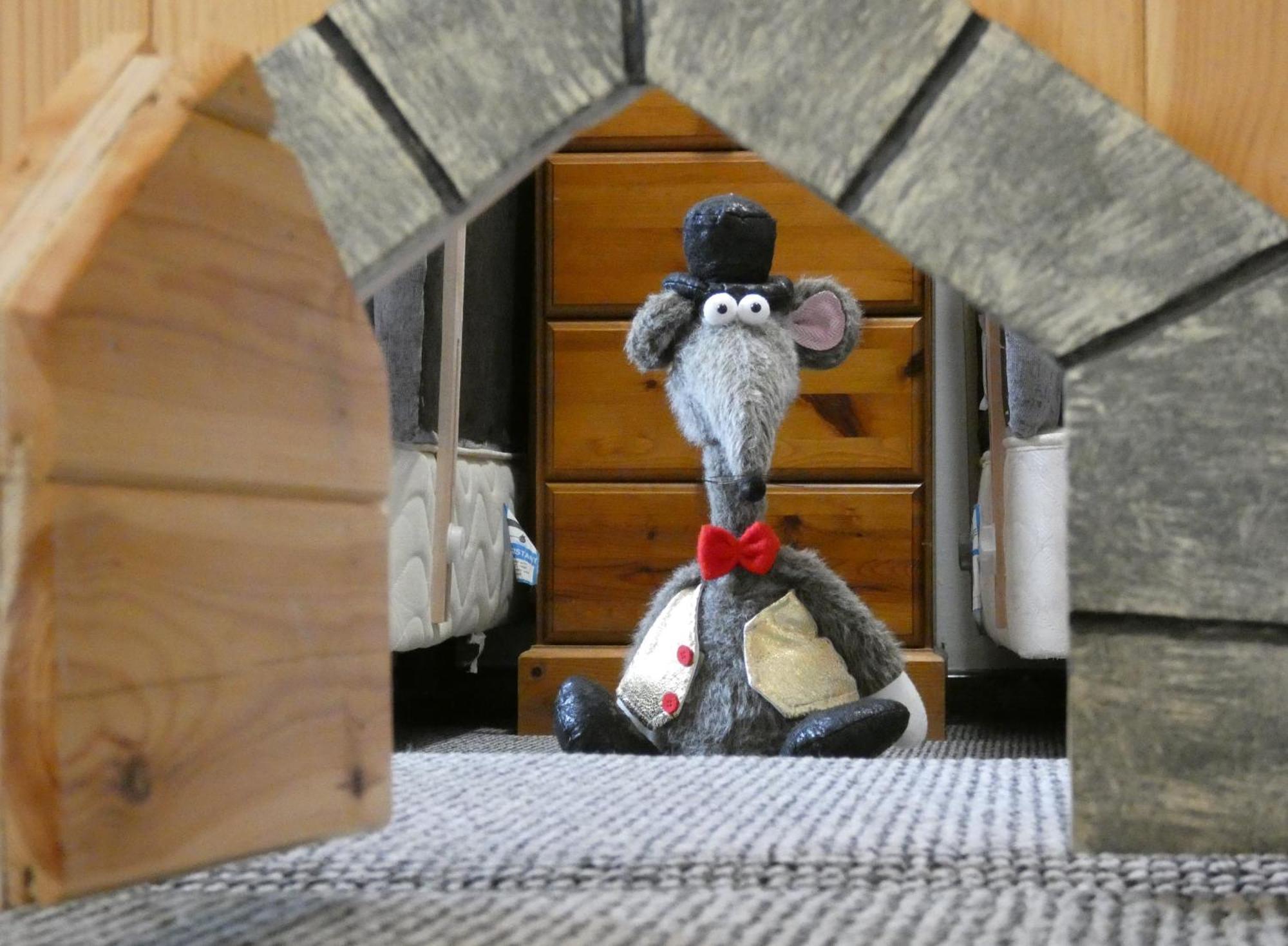 Abergwynant Farm Glamping & Apartments ドルゲラウ エクステリア 写真