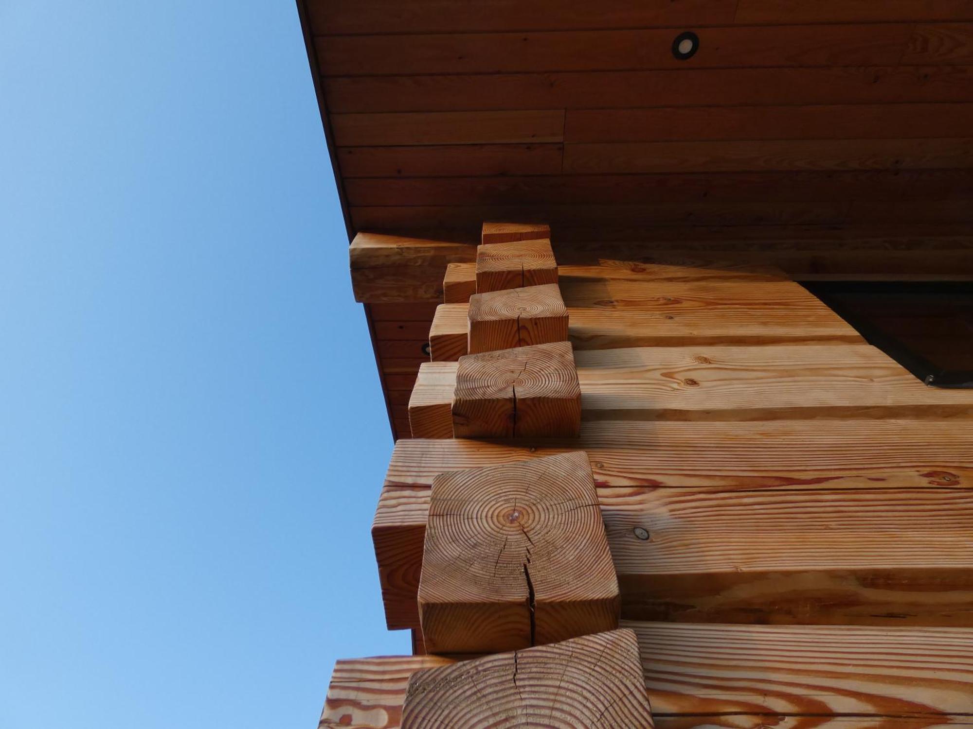 Abergwynant Farm Glamping & Apartments ドルゲラウ エクステリア 写真