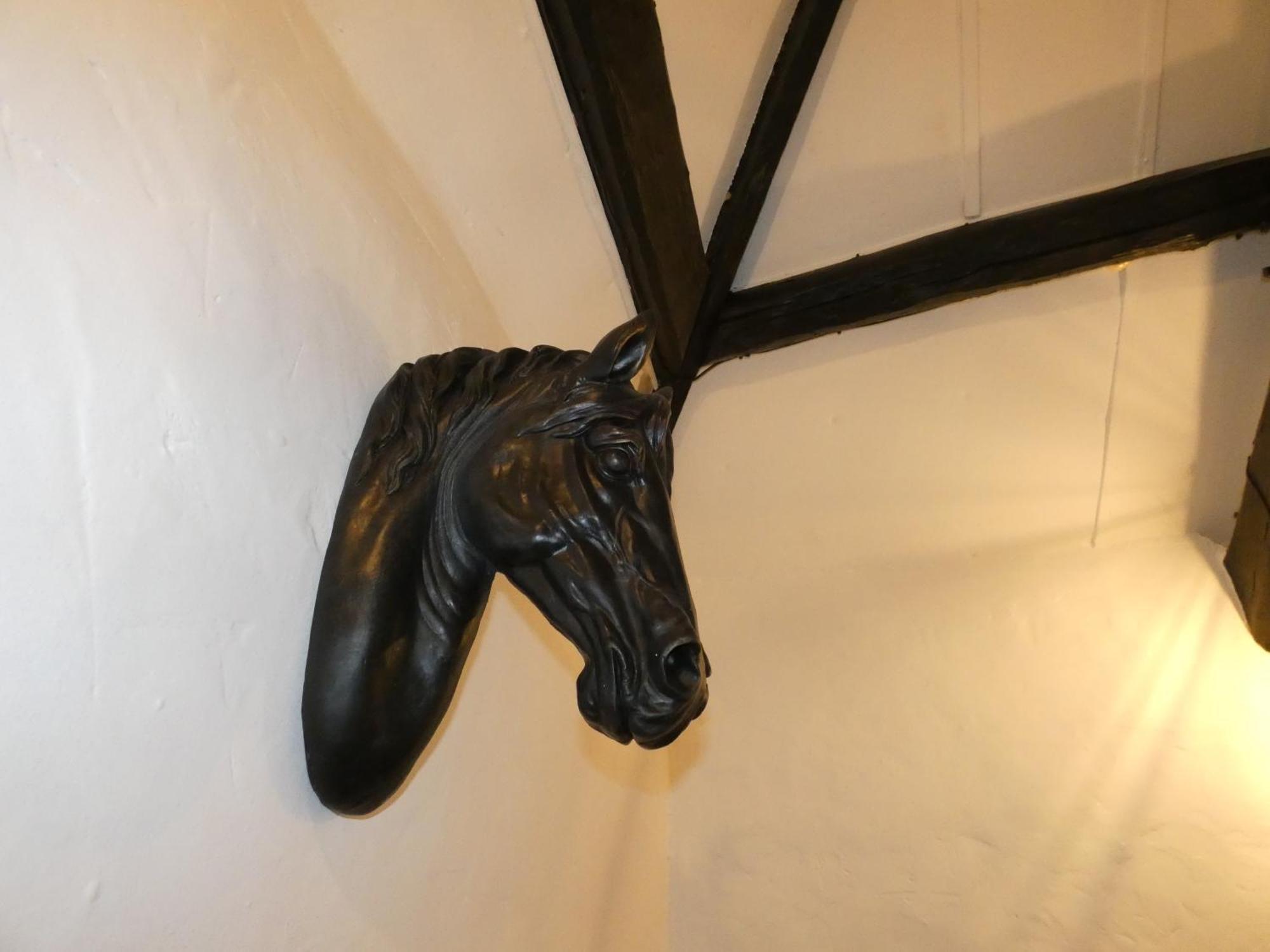 Abergwynant Farm Glamping & Apartments ドルゲラウ エクステリア 写真